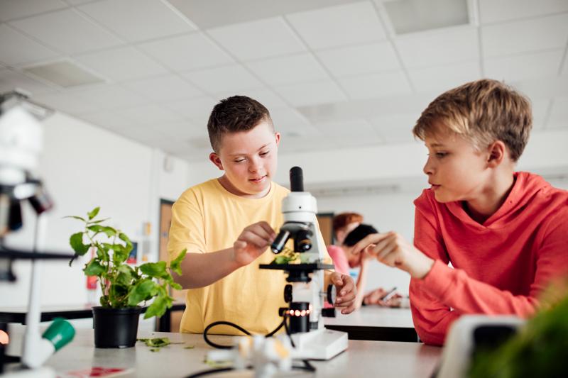 两个孩子在看显微镜，显微镜下有附近植物的叶子.